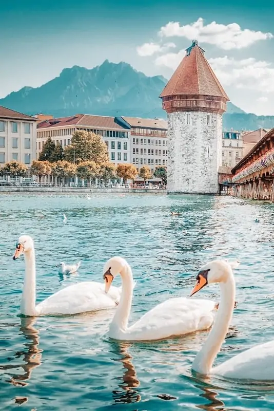switzerland photo.webp